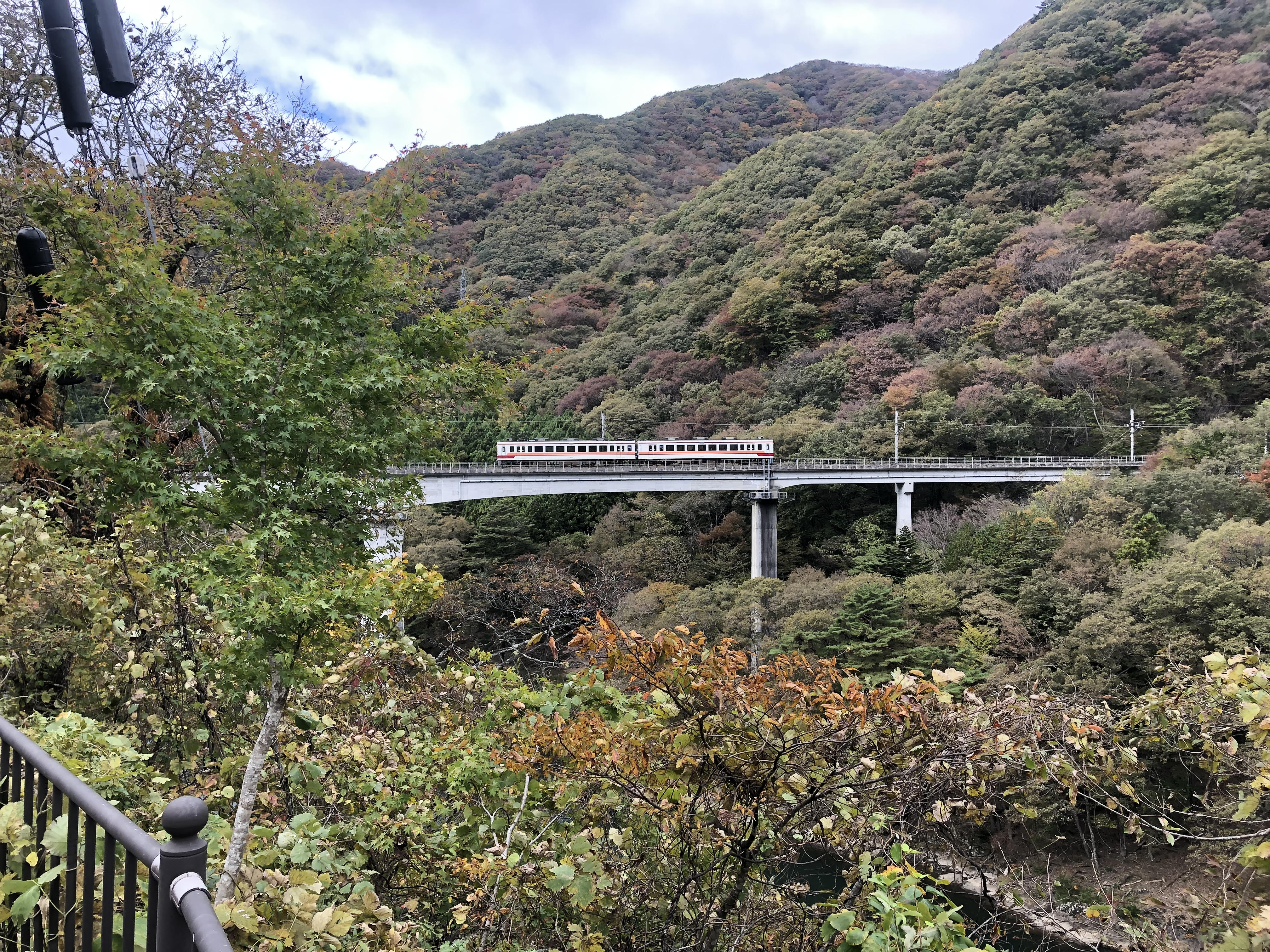 Train on a bridge in mountains